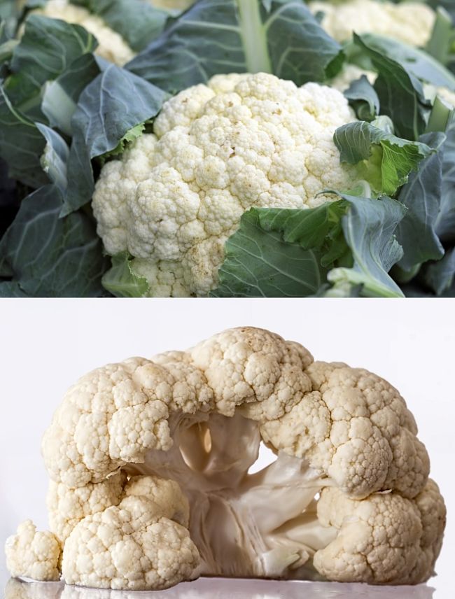 ints, tips and tricks for growing Cauliflower in home gardens.