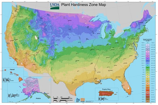 USA Hardiness Zone Map